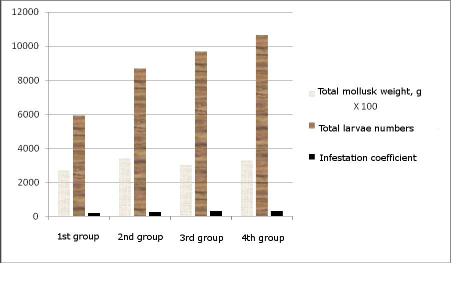 Results of experimental infections of Helix pomatia mollusks with Protostrongylidae