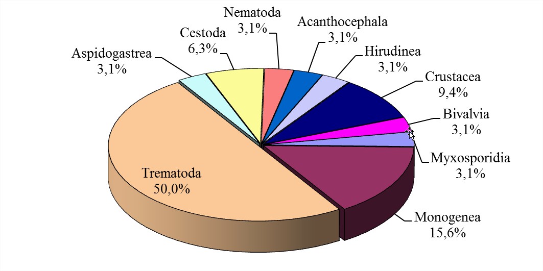 Рис. Соотношение паразитов из разных классов в паразитофауне рыб Рязанской области